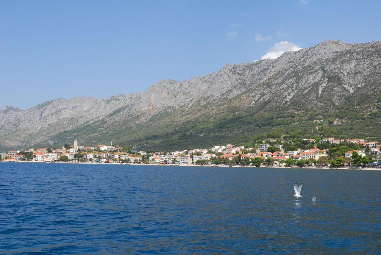 Apartments Vesna Градац Екстер'єр фото